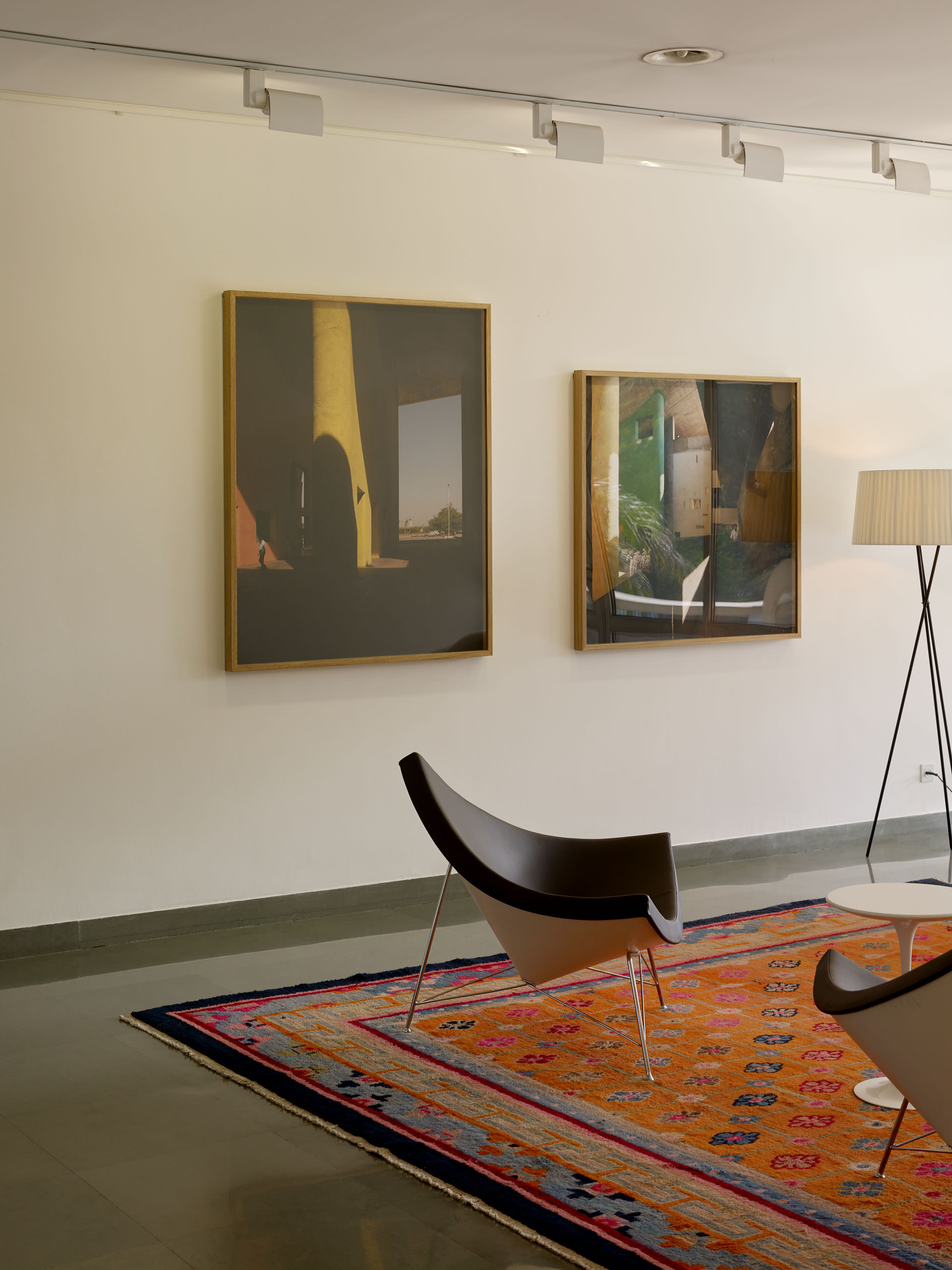 E13452 Alpa 040616 j2560